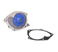 Bomba de agua SKF VKPC 86129