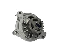 Bomba de agua SKF VKPC 86619