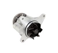 Bomba de agua SKF VKPC 87840