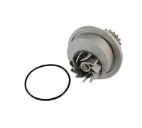 Bomba de agua THERMOTEC D10007TT