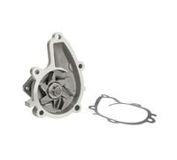 Bomba de agua THERMOTEC D11044TT