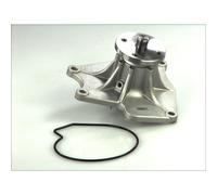 Bomba de agua THERMOTEC D15000TT