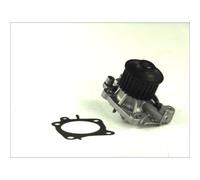 Bomba de agua THERMOTEC D15008TT