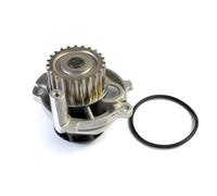 Bomba de agua THERMOTEC D1W040TT