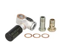 BOSCH Bomba de combustible (Ref: 0 440 011 021)