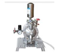 Bomba de Diafragma, Bomba neumática de doble diafragma DPA-10, bomba de membrana for traje de pulverización de pintura pequeña bomba neumática de pintura de diafragma Para Caravanas Barcos Jardín