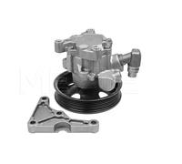 MEYLE Bomba hidrÃ¡ulica, direcciÃ³n para MERCEDES-BENZ: Classe E, Classe CLK, 129 Series, Classe SLK, Classe C (Ref: 014 631 0005)