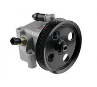 Bomba de dirección asistida hidráulico con polea múltiple SPW-FR-004 NTY