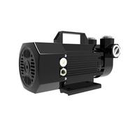 Bomba de gasolina de 12 V/24 V con a prueba de explosiones, microbomba de combustible, bomba diésel eléctrica autocebante de 600 W, 60 l/min(12V black)