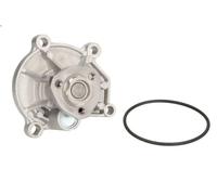 Bomba de refrigerante INA 538 0336 10 SEAT CORDOBA (6L2) 1.2 2002-2006