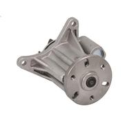 Bomba de refrigerante INA 538 0649 10 para JAGUAR XJ (X350, X358) 2.7 2005-2009