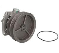 Bomba de agua VKPC 82441 SKF para FIAT LANCIA