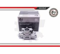 Bomba De Servodirección ESEN SKV 10SKV313 Honda Civic VI; 56110-P2A-023
