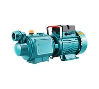 Bomba de tornillo, arranque y parada, bomba refuerzo agua del grifo, pozo, torre, 220V(Manual Screw Pump 1800W)