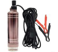 Bomba de transferencia eléctrica de 12V 24V Bomba de aceite sumergible de 150W DC 3 tipos de salida 72H Funcionamiento continuo (12V)