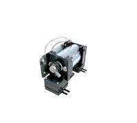 Bomba De Vacío De Alta Presión Negativa Positiva AC220V, Instrumento De Belleza Grande, Bomba De Diafragma De Doble Cabezal Silenciosa, Micro Bomba De Aire