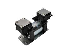 Bomba De Vacío De Alta Presión Negativa Positiva De 12V/220V, Instrumento De Belleza Grande, Bomba De Diafragma De Doble Cabezal Silenciosa, Micro Bomba De Aire(DC12V 1pcs)