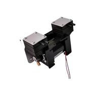 Bomba De Vacío De Alta Presión Negativa Positiva De 12V/220V, Instrumento De Belleza Grande, Bomba De Diafragma De Doble Cabezal Silenciosa, Micro Bomba De Aire(AC220V 1pcs)