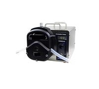 Bomba dosificadora peristáltica Bomba peristáltica YG600-2J BW100 WG600(10)