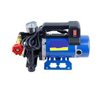 Bomba Eléctrica Agrícola De Alta Presión For Riego Por Pulverización Y Lavado De Vehículos, Con Pistón De Doble Cilindro, 12 V/24 V/48 V/60 V/220 V(12V)