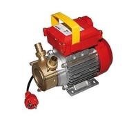 Rover Pompe Rover 25Ce - Bomba Trasvase Rover 25Ce, 08Hp, 2400 l/h
