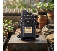 Bomba eléctrica inteligente del rociador de 12v para la irrigación del jardín y el lavado del coche con la función de apagado automático en el diseño compacto del color negro para el uso al aire libre