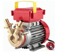 BOMBA ELÉCTRICA PARA TRANSFERENCIA mm 25 HP 0,8