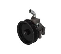 Bosch Bomba hidráulica de dirección K S02 000 079