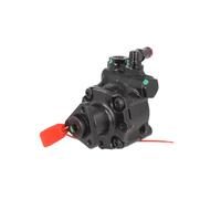 Bomba hidráulica de dirección LAUBER 55.1791