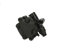 Bomba hidráulica, dirección SPIDAN 53950 para AUDI A3 (8L1) 1.9 1996-2001