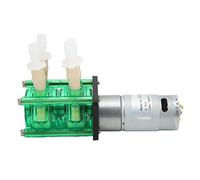 Bomba peristáltica resistente a la corrosión de alto flujo de doble cabezal Bomba dosificadora de líquidos con tubo BPT 700 ml/min para experimentos Análisis bioquímico (CC 24 V)