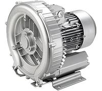 Bomba Soplante Monofásica, Bomba de Agua para Inyección de Aire, Boma de Agua para Piscina y Jacuzzi, Depuradora Piscina (1,75KW))