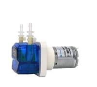 Bomba sumergible pequeña ajustable B10 bomba peristáltica de 12 V pequeña autocebante Carmel Mini Laboratorio Micro Agua (Kphm100-hb3 12v)