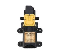 Bomba sumergible pequeña ajustable de 12 V y 5 l/min con válvula inteligente, bomba pulverizadora de alta presión, autocebante con presostato for jardín, granja y productos químicos.