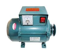 Bomba sumergible pequeña ajustable de 220 V de alta potencia, generador pequeño, iluminación del hogar, imán permanente, motor de correa sin escobillas (5000 W)