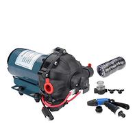 Bomba sumergible pequeña ajustable de 5.5 GPM, 70 PSI, 12 V, 24 V, kit de bomba de agua de diafragma, lavado resistente con manguera en espiral de alta presión para el hogar, coche, barco marino (24 V
