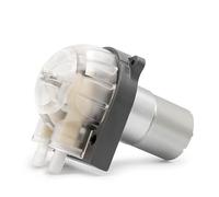 Bomba sumergible pequeña ajustable Serie de bombas peristálticas, caudal de 80 a 450 ml/min, 12/24 V CC, minibomba peristáltica(12VDC)