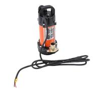 Bomba Sumergible PolyGen de Acero Inoxidable 300W con Elevación Máxima de 22m, Bomba de Agua de Pozo Profundo con Caudal de 4m³/h, Motor Sin Escobillas y Cable de 2,5m para Riego (DC12V)