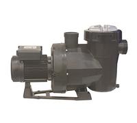 BOMBA VICTORIA PLUS SILENT 1,5 CV MONO