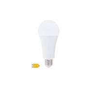 Bombilla de LED estándar A70 21W E27 6000K