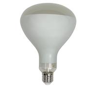 Bombilla de repuesto para paréntesis Flos - Filamento LED R125 13W E27 2700 K 1330 lm
