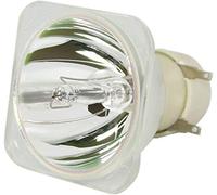Bombilla Desnuda Compatible BL-FU195A SP.72G01GC01 para lámpara de proyector OPTOMA DW441 S341 DS349 sin Carcasa