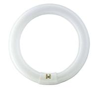 BOMBILLA FLUORESCENTE CIRCULAR PHILIPS TL-E 40W G10Q BASE NEUTRAL E4084