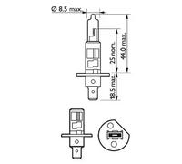 PHILIPS LÃ¡mpara H1 VisionPlus halÃ³gena para SEAT: Leon, Altea, Toledo, Ibiza, Cordoba, Exeo, Alhambra & CITROÃN: Xsara Picasso, C4, C3 (Ref: 36320330)