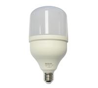 Electro DH Bombilla LED E27 30W 230Vac 6500K T100