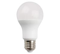 Garza Bombilla LED Estándar A65, 20 W (equivalente a 160 W de incandescencia), 4000 K, Casquillo gordo E27, Ángulo 240 grados, Luz Neutra, 1 Unidad (Paquete de 1)