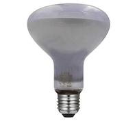 Bombilla LED NEODIMIO Reflectora R95 6W luz blanca 4000K 230V Referencia 174-4-109