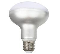 Silver Electronics Bombilla LED 12W 5.000K Luz fría E27 1.280 lúmenes Ángulo 160°