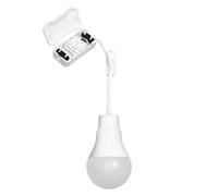 Bombilla LED Renovation Lamp Classic A75 Bloque de 4058075845947