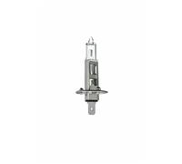 Bombilla P14.5s H1 032502 VALEO para BMW ALFA ROMEO MERCEDES-BENZ FORD AUDI FIAT